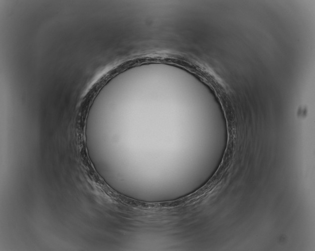 X0000091001256200708021217