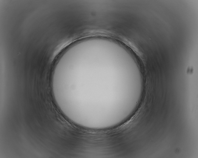 X0000091001261200708021217