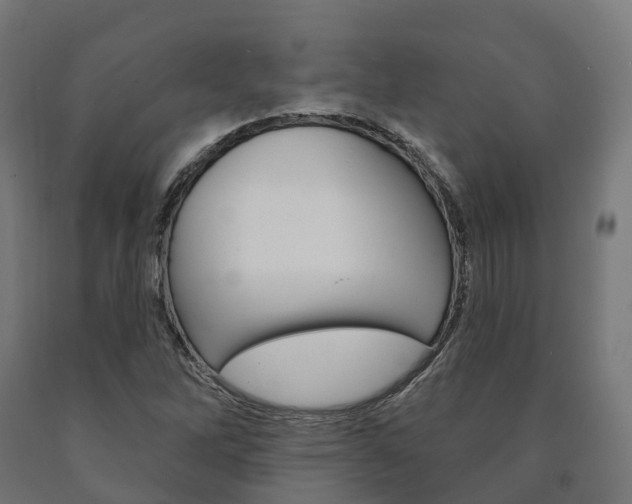 X0000091001262200708021217