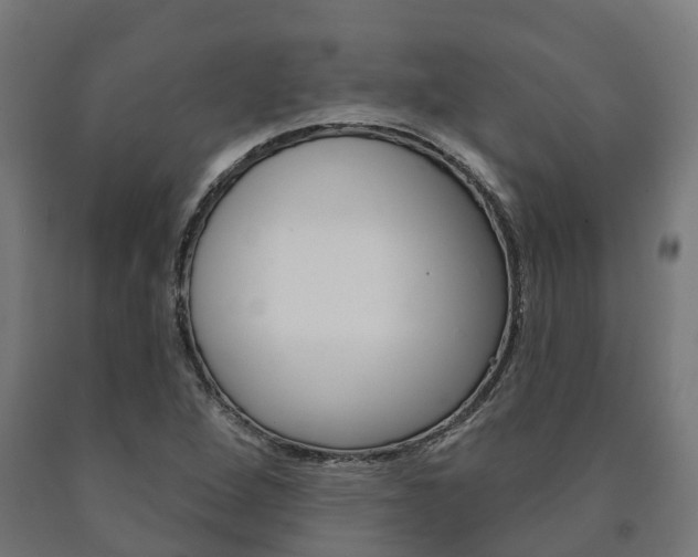 X0000091001264200708021217