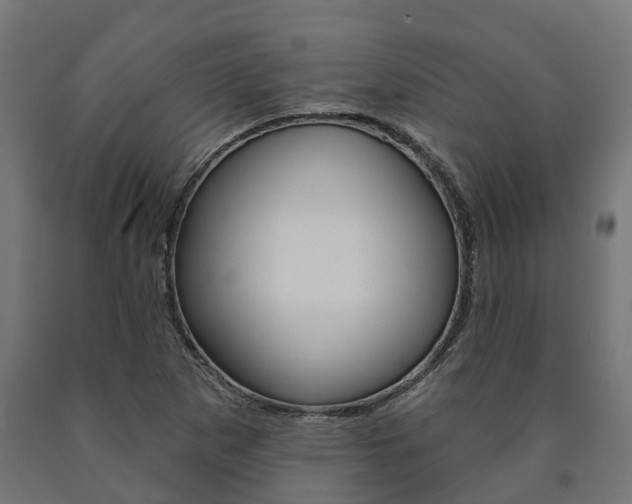 X0000091001265200708021217