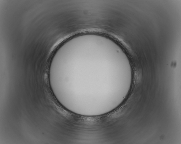 X0000091001266200708021217