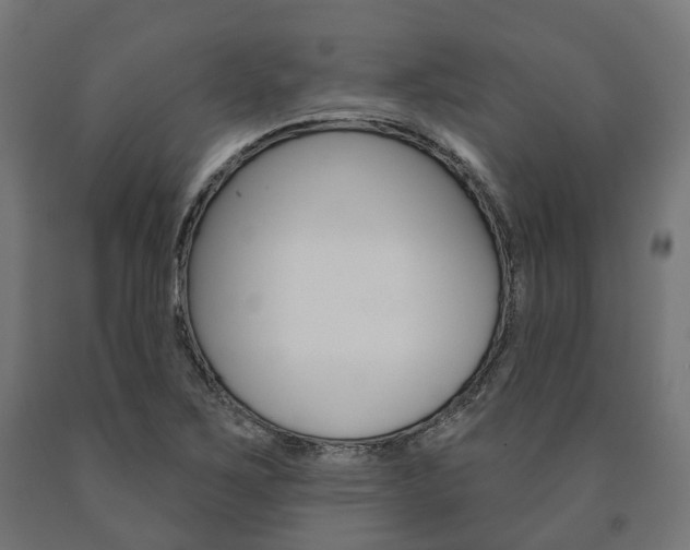 X0000091001267200708021217