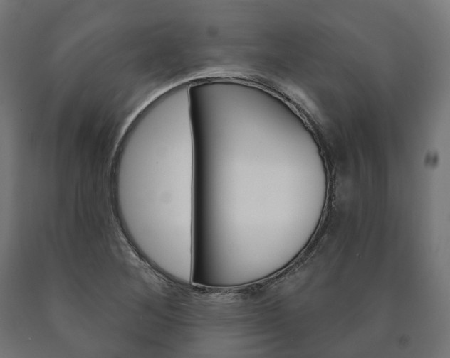 X0000091001268200708021217
