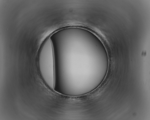 X0000091001269200708021217