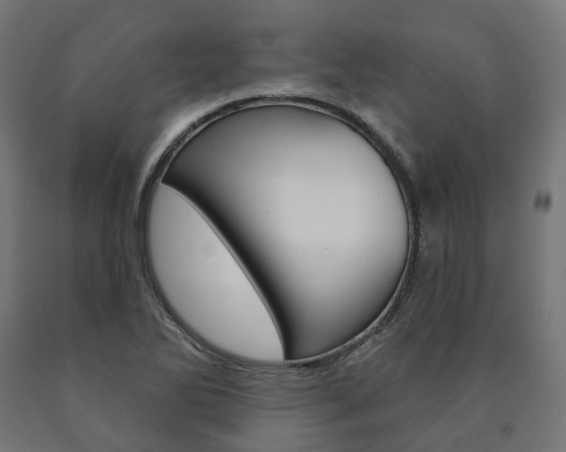 X0000091001270200708021217