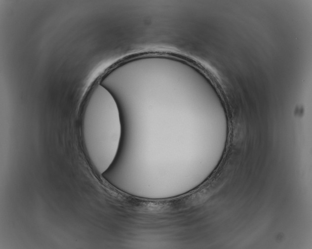 X0000091001271200708021217