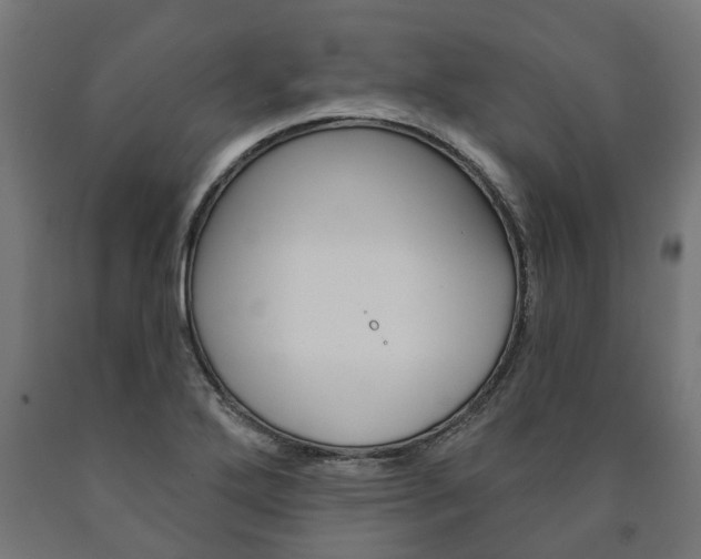 X0000091001272200708021217