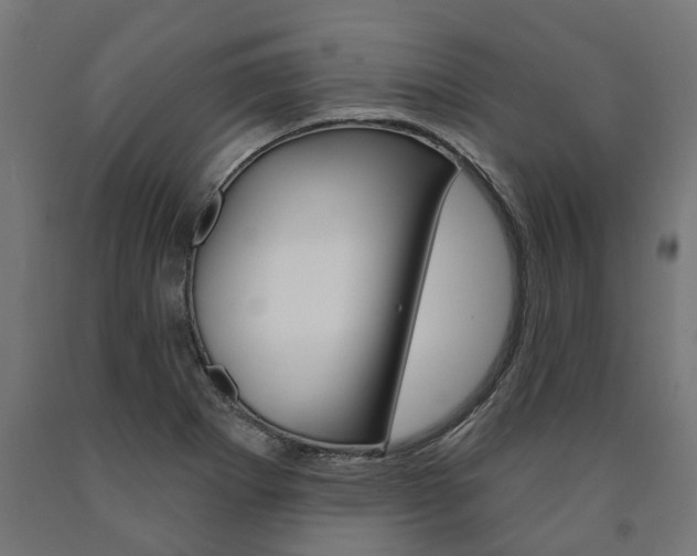 X0000091001273200708021217