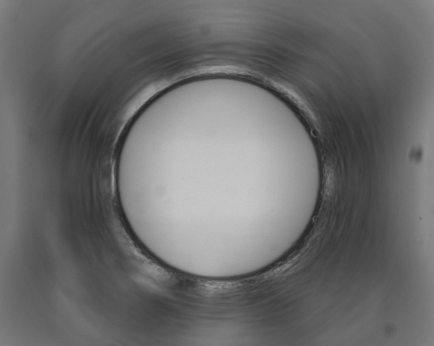 X0000091001274200708021217
