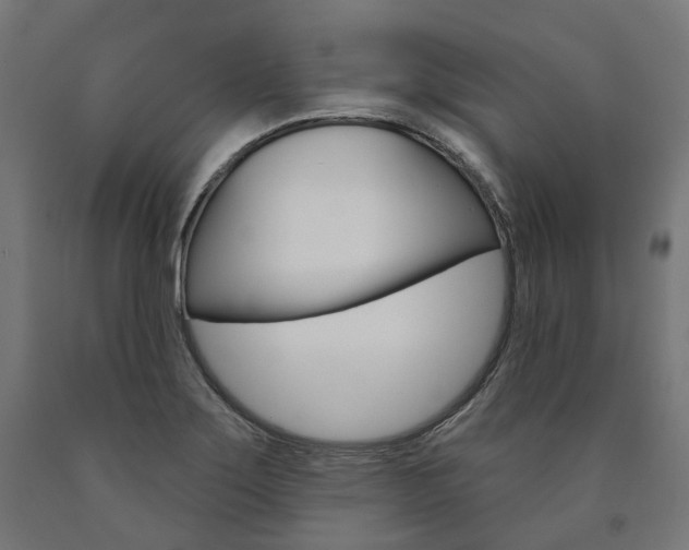 X0000091001275200708021217