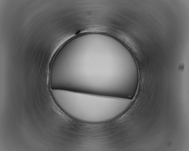 X0000091001276200708021217