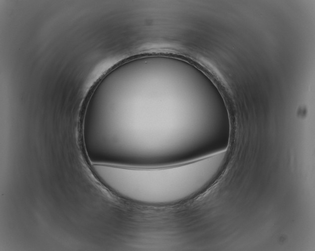 X0000091001277200708021217