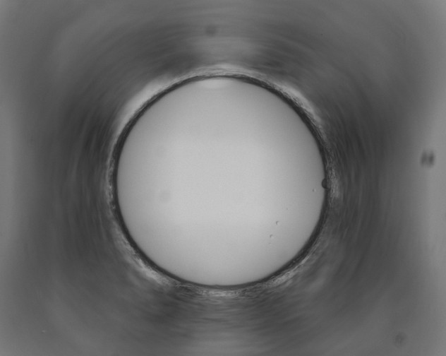 X0000091001278200708021217