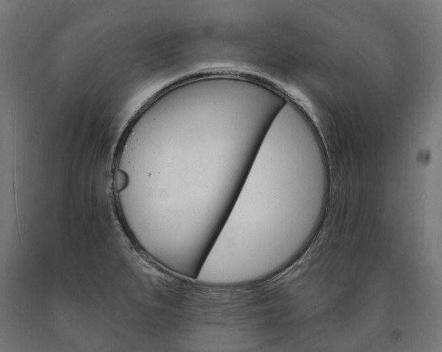 X0000091001279200708021217