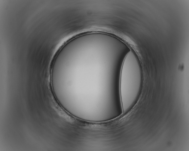 X0000091001280200708021217
