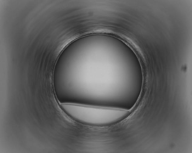 X0000091001281200708021217