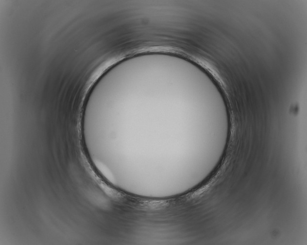 X0000091001282200708021217