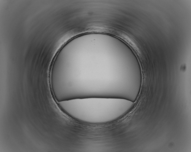 X0000091001283200708021217