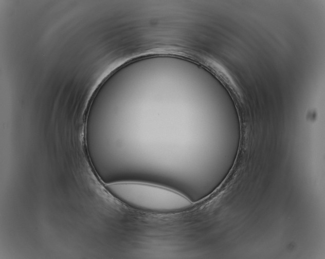 X0000091001284200708021217