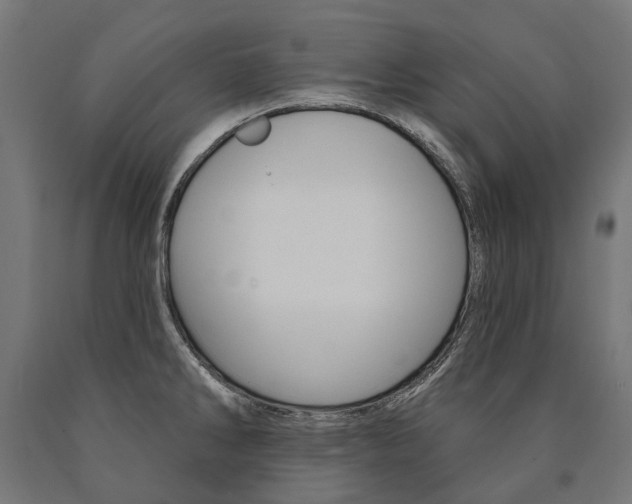X0000091001286200708021217