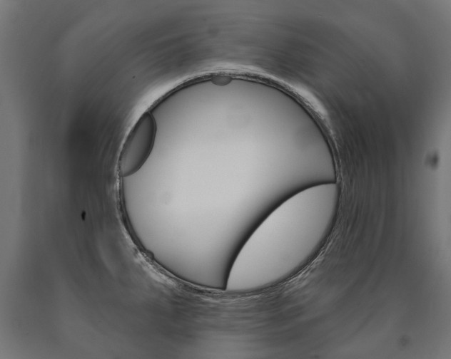 X0000091001287200708021217