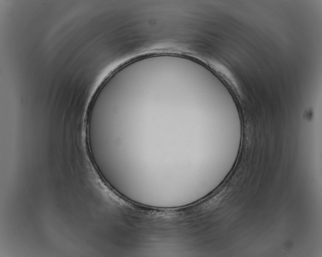 X0000091001288200708021217