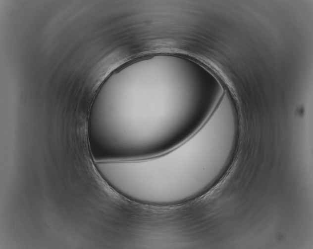 X0000091001289200708021217