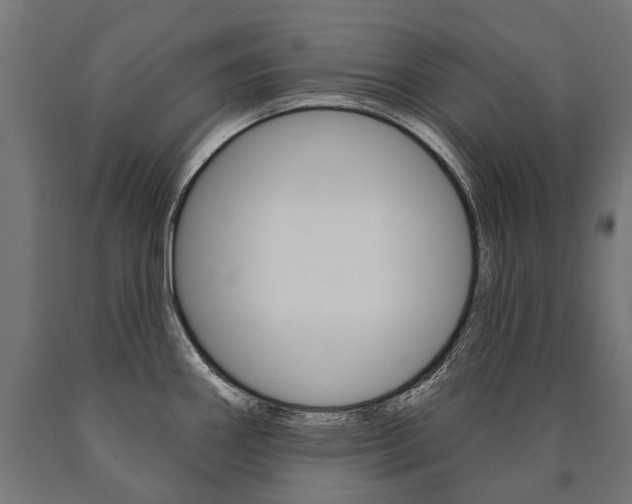 X0000091001290200708021217