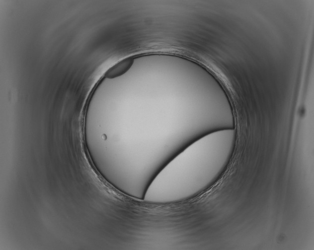X0000091001291200708021217
