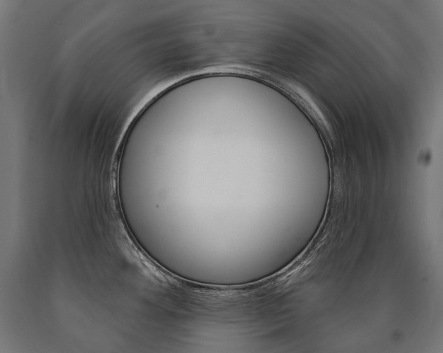 X0000091001292200708021217