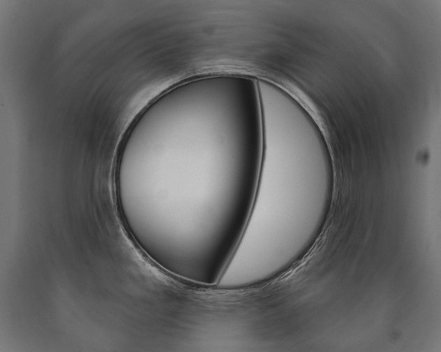 X0000091001293200708021217