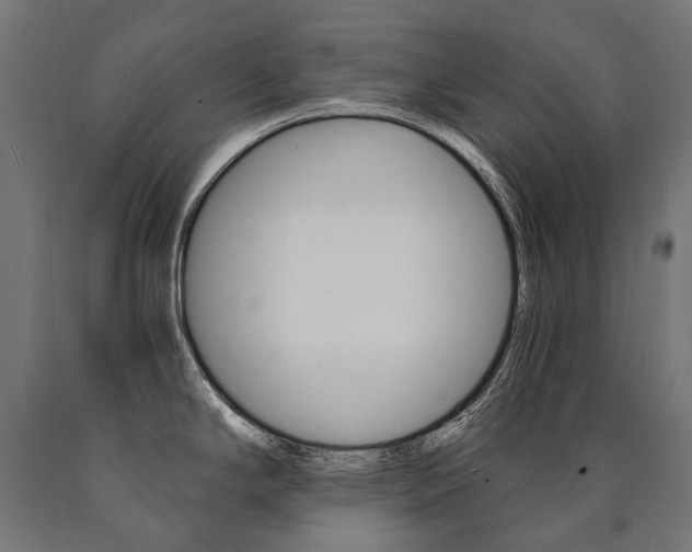 X0000091001294200708021217
