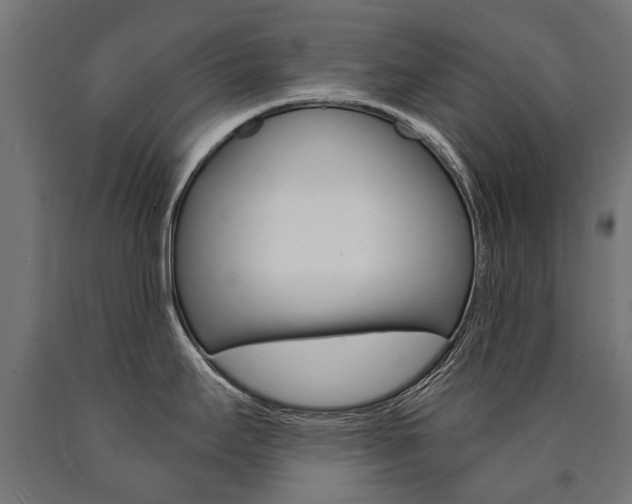 X0000091001295200708021217
