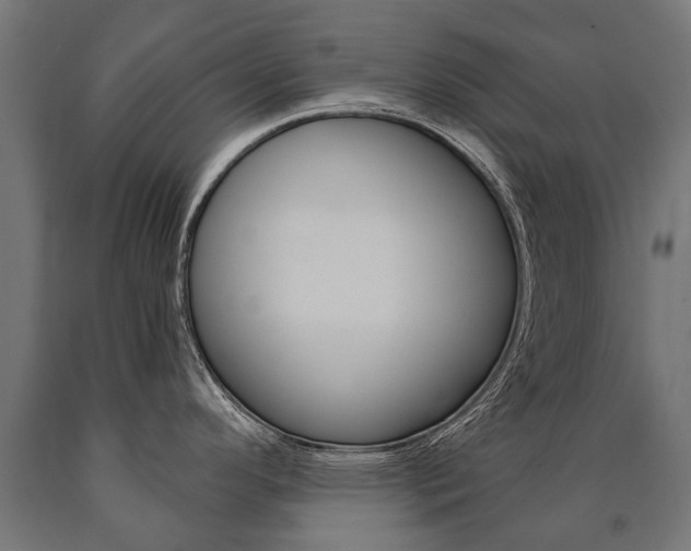 X0000091001296200708021217