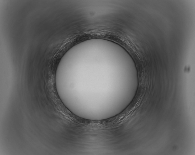 X0000091001297200708021216