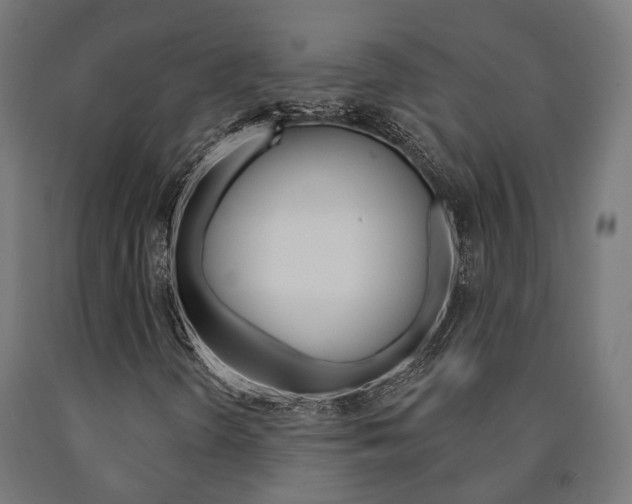 X0000091001298200708021216