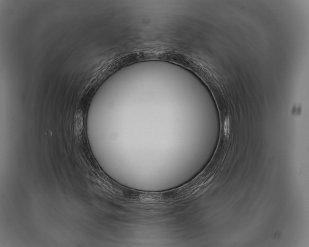 X0000091001299200708021216
