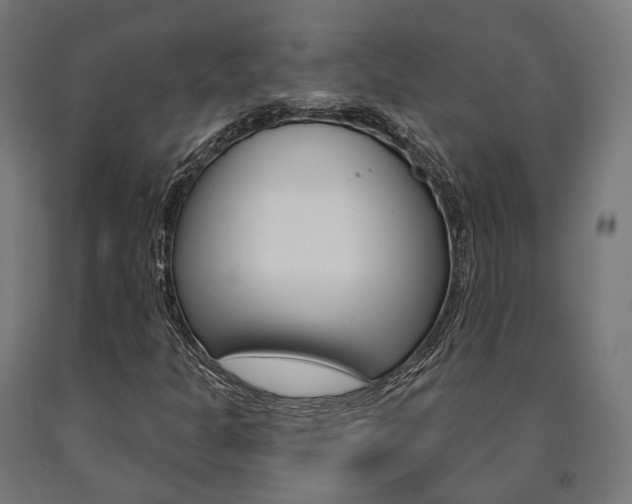 X0000091001301200708021216