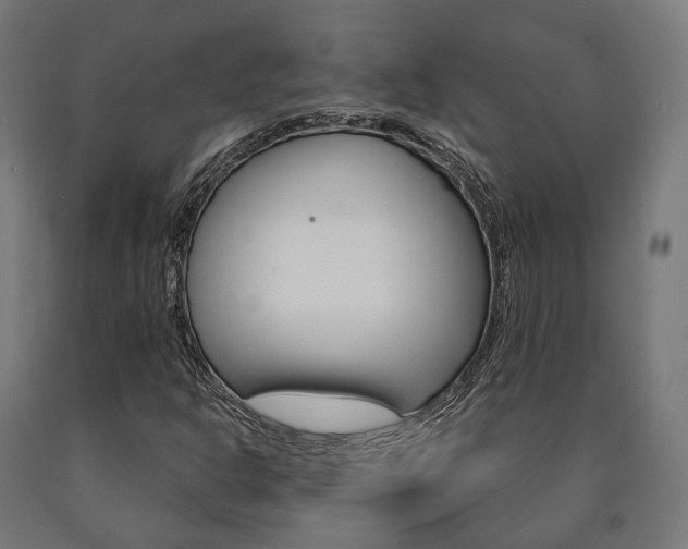 X0000091001302200708021216