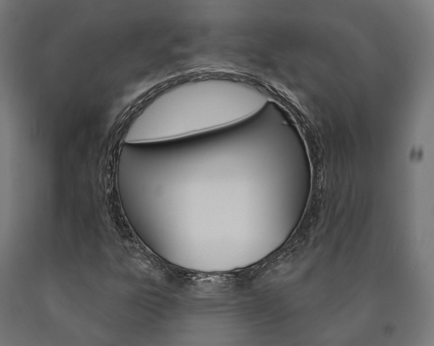 X0000091001303200708021216