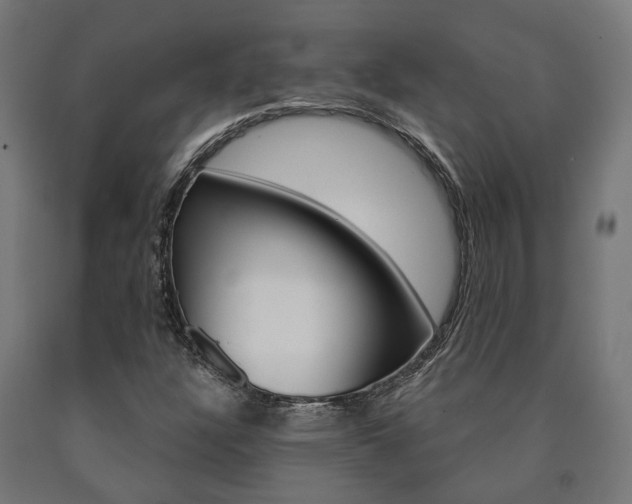 X0000091001304200708021216