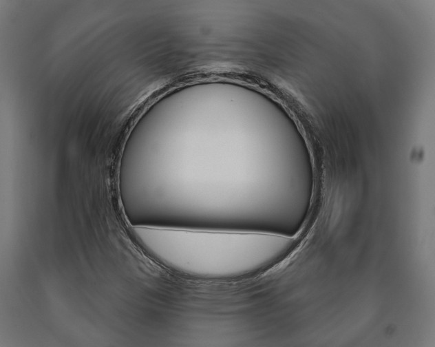 X0000091001305200708021216