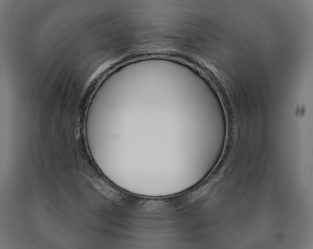 X0000091001306200708021216