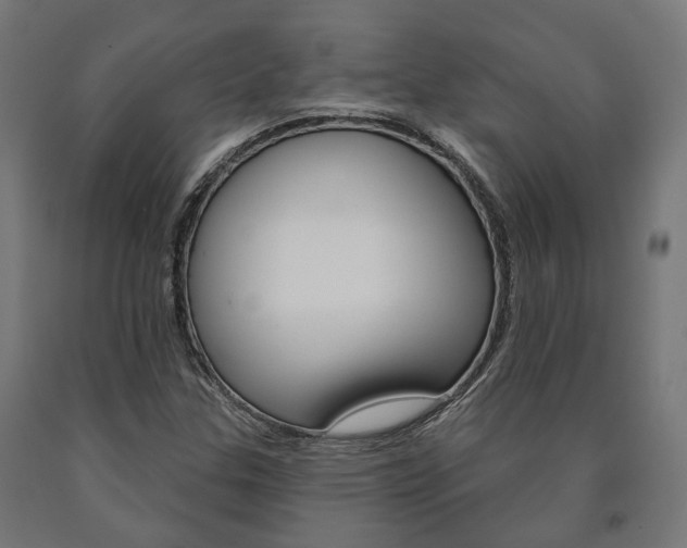 X0000091001307200708021216