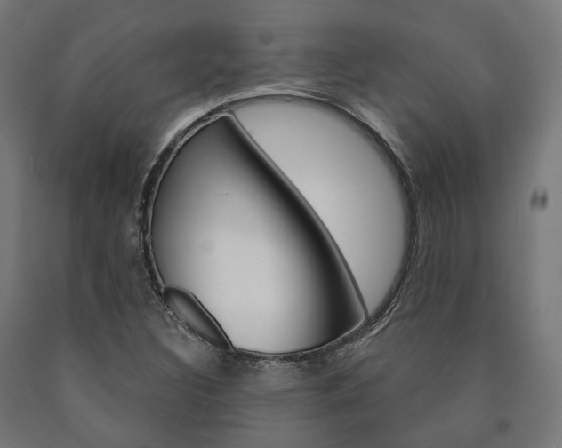 X0000091001308200708021216