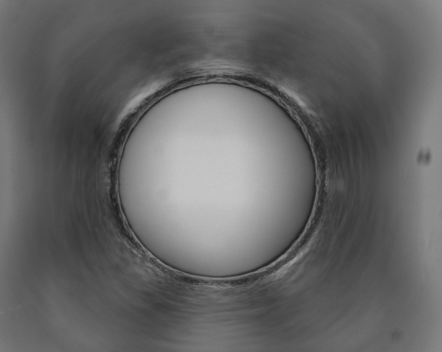 X0000091001309200708021216