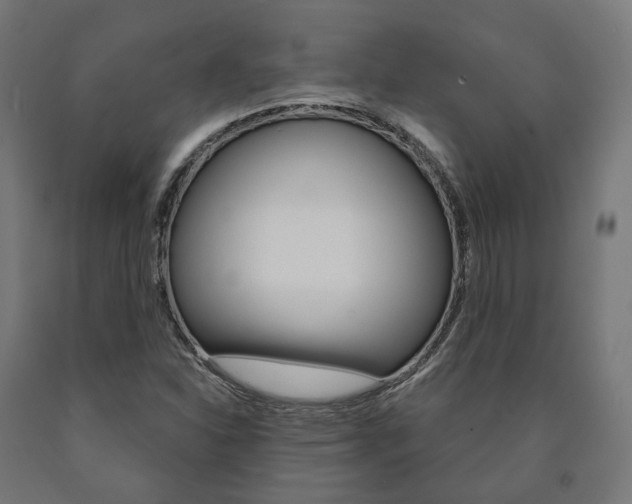 X0000091001310200708021216