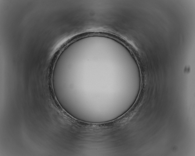 X0000091001311200708021216