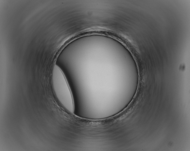 X0000091001313200708021216